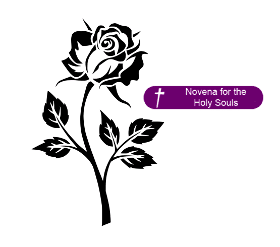Novena Rose Outline